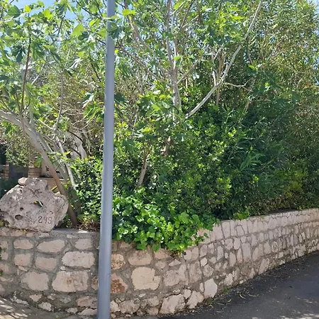 Barbat 249 * Barbat na Rabu