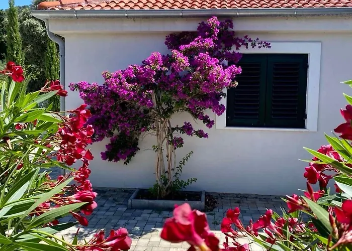 Barbat 249 Nyaraló *