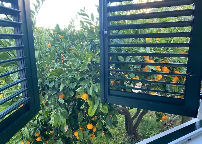 Barbat 249 Barbat na Rabu