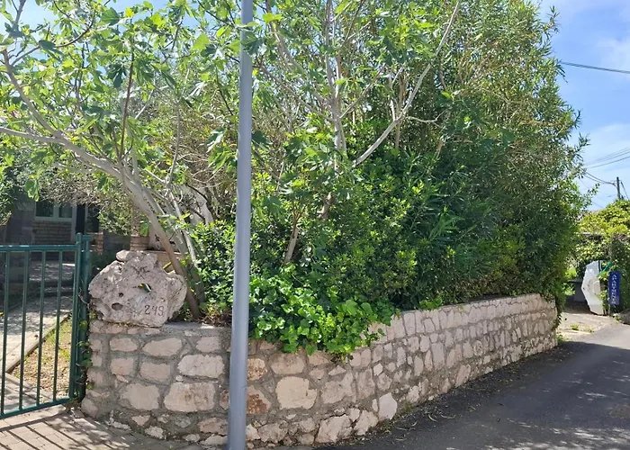 Barbat 249 * Barbat na Rabu