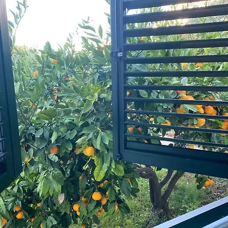 Barbat 249 Barbat na Rabu