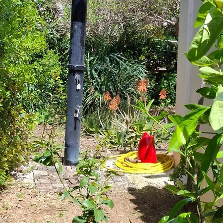 Barbat 249 Nyaraló Barbat na Rabu